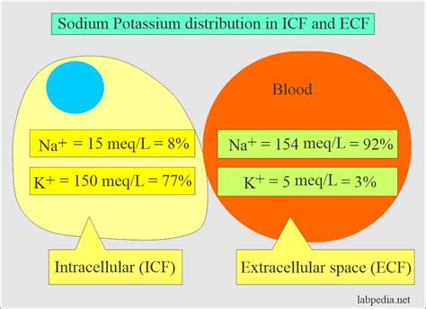 k lab values|serum potassium vs whole blood.